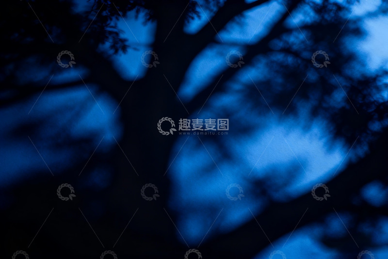 高清大图下载【趣麦麦图】-暗克莱因蓝暗调树影2