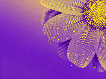 极简实验性平面插画花朵1