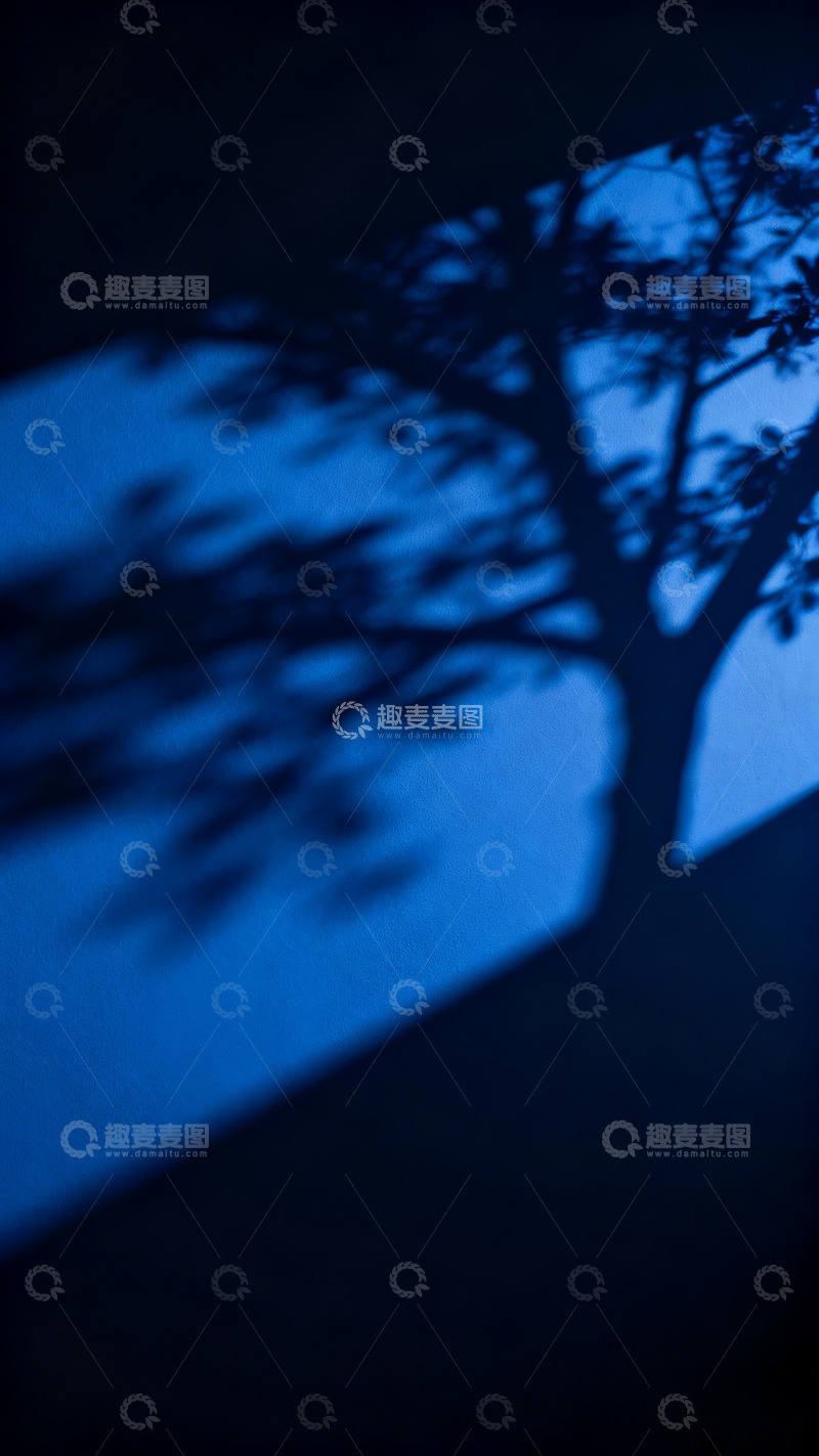 高清大图下载【趣麦麦图】-暗克莱因蓝暗调树影3