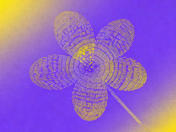 极简实验性平面插画花朵3