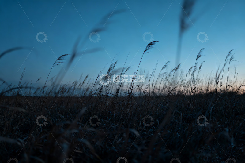 高清大图下载【趣麦麦图】广角镜头下的黄昏旷野2