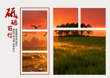 夕阳飞鸟自然风景摄影