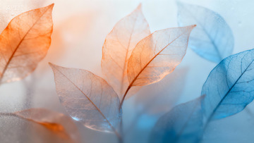橘色和蓝色渐变的树叶纹理1