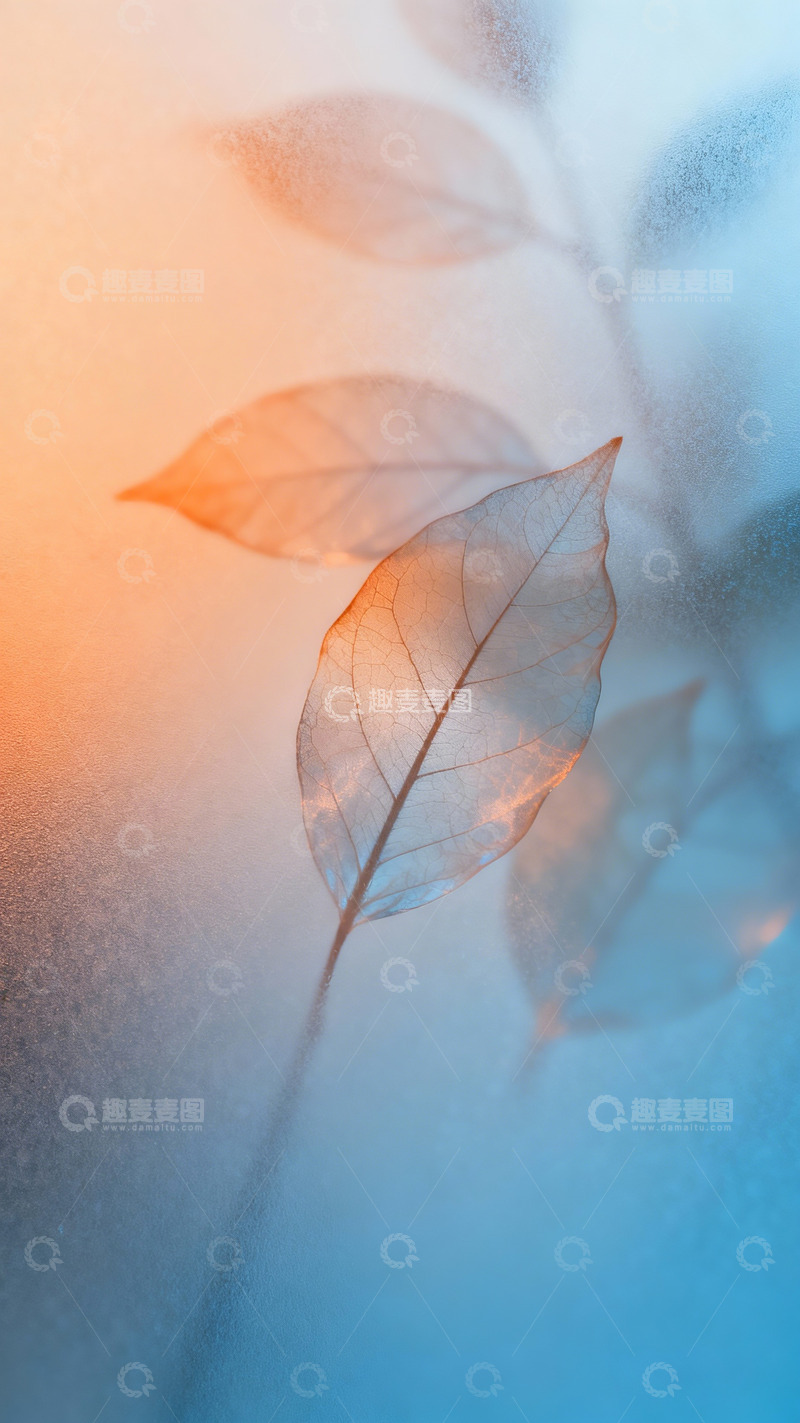 高清大图下载【趣麦麦图】橘色和蓝色渐变的树叶纹理6