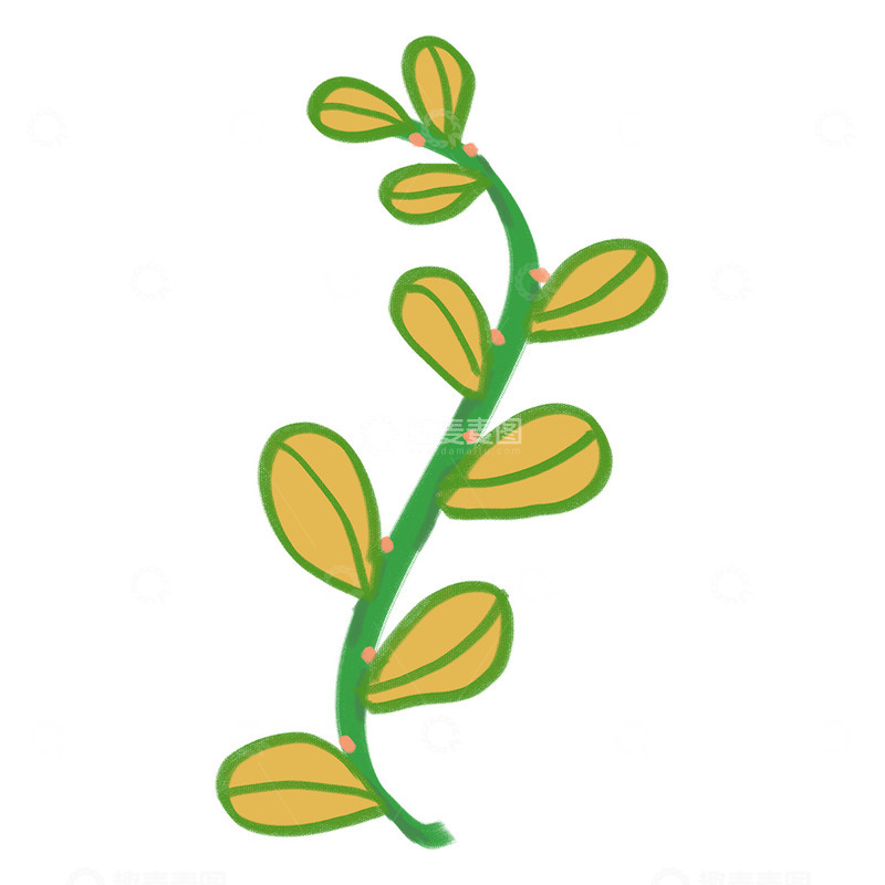 高清大图下载【趣麦麦图】卡通植物插画设计元素