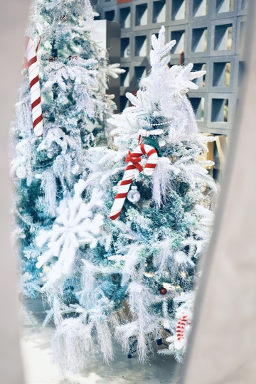 雪白圣诞树装饰场景