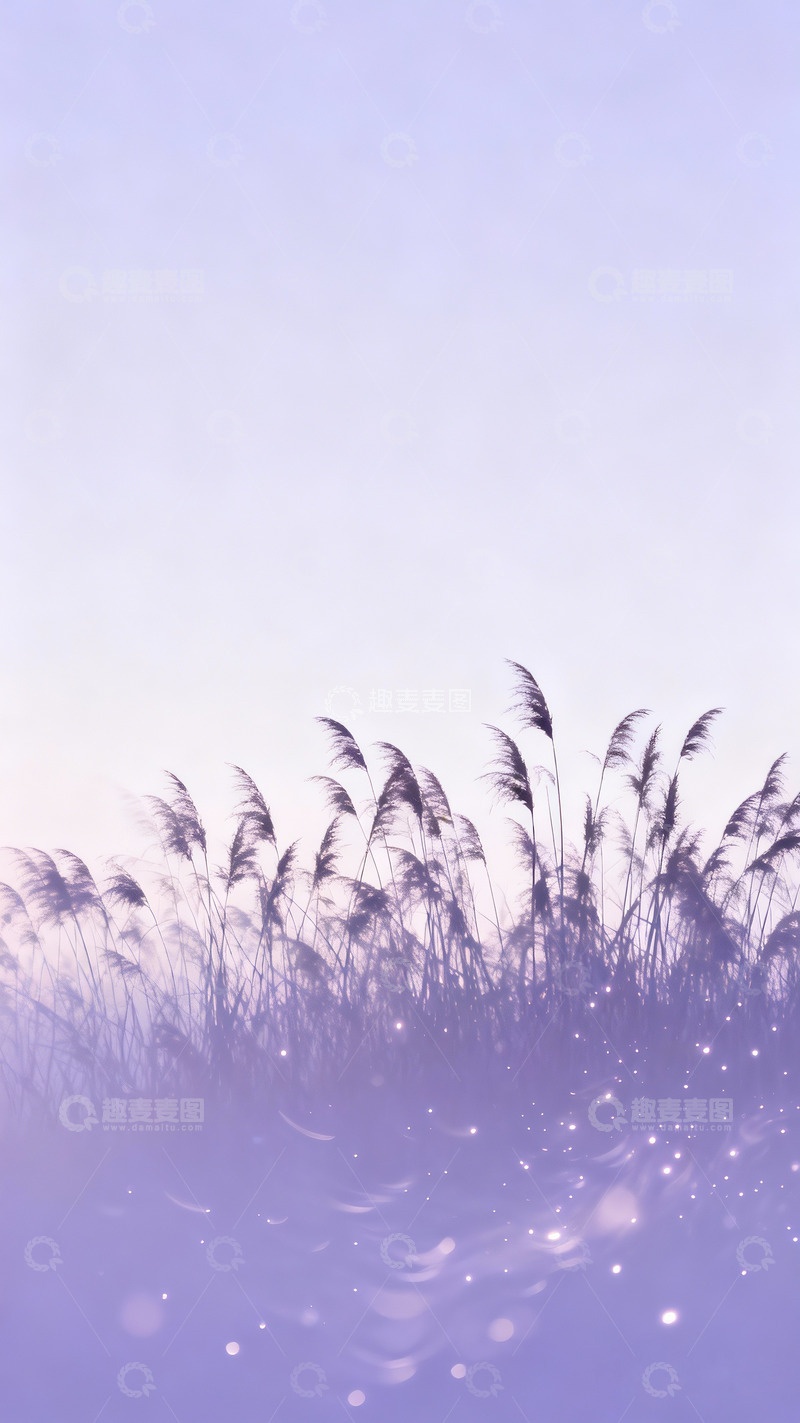 高清大图下载【趣麦麦图】紫色渐变背景朦胧茅草剪影5