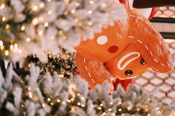 节日氛围姜饼人装饰摄影