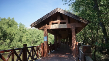 山林木屋观景台