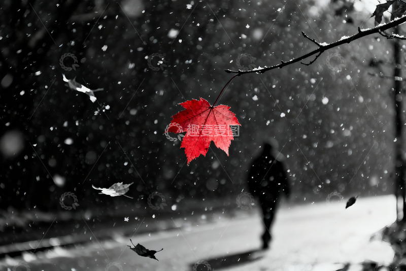 高清大图下载【趣麦麦图】夜晚雪中行走高清摄影4