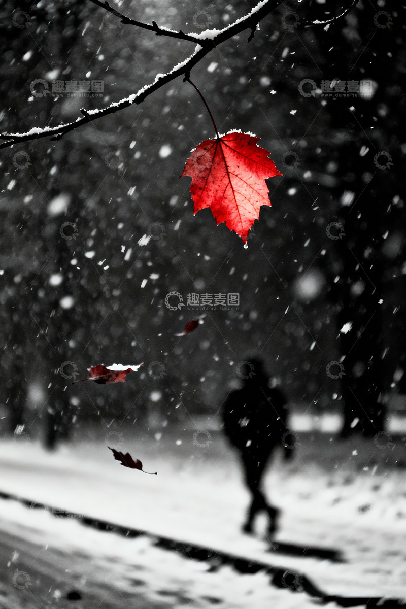 高清大图下载【趣麦麦图】夜晚雪中行走高清摄影