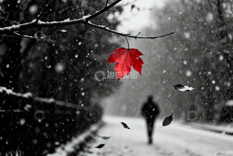 高清大图下载【趣麦麦图】夜晚雪中行走高清摄影2