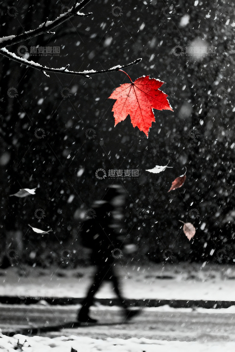 高清大图下载【趣麦麦图】夜晚雪中行走高清摄影5