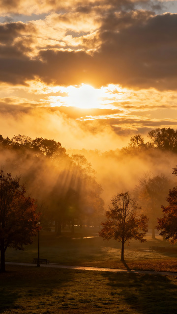 秋晨时分，晨雾弥漫的公园2