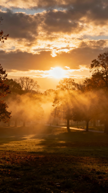 秋晨时分，晨雾弥漫的公园3