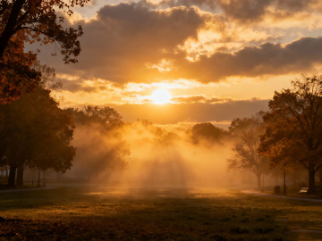 秋晨时分，晨雾弥漫的公园1