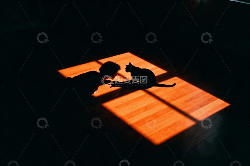 高清大图下载【趣麦麦图】人物与猫的剪影互动4