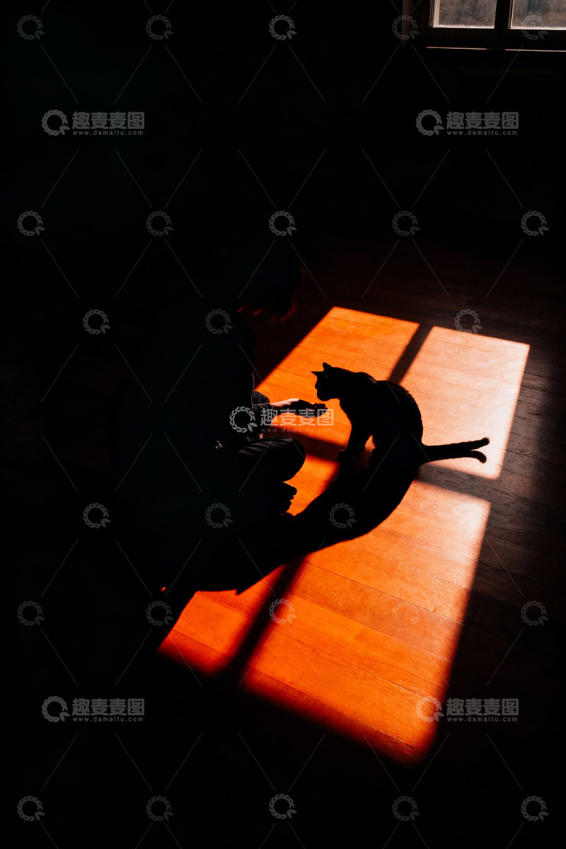 高清大图下载【趣麦麦图】人物与猫的剪影互动3