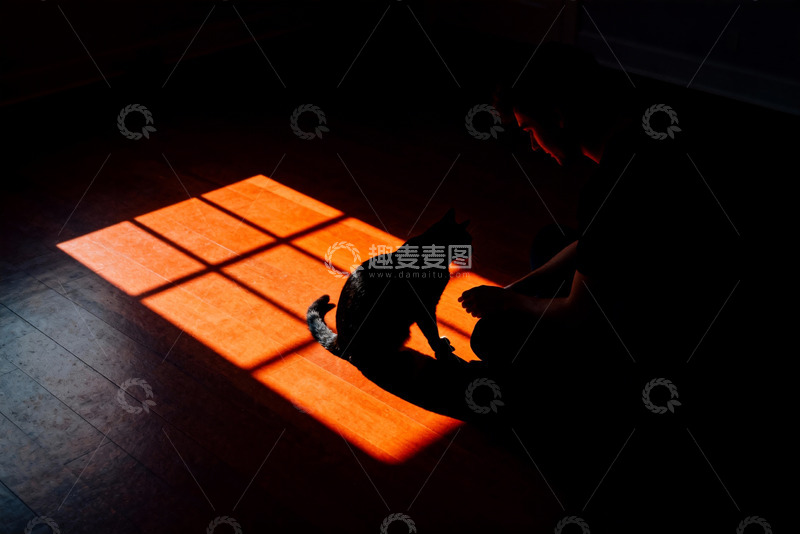 高清大图下载【趣麦麦图】人物与猫的剪影互动7