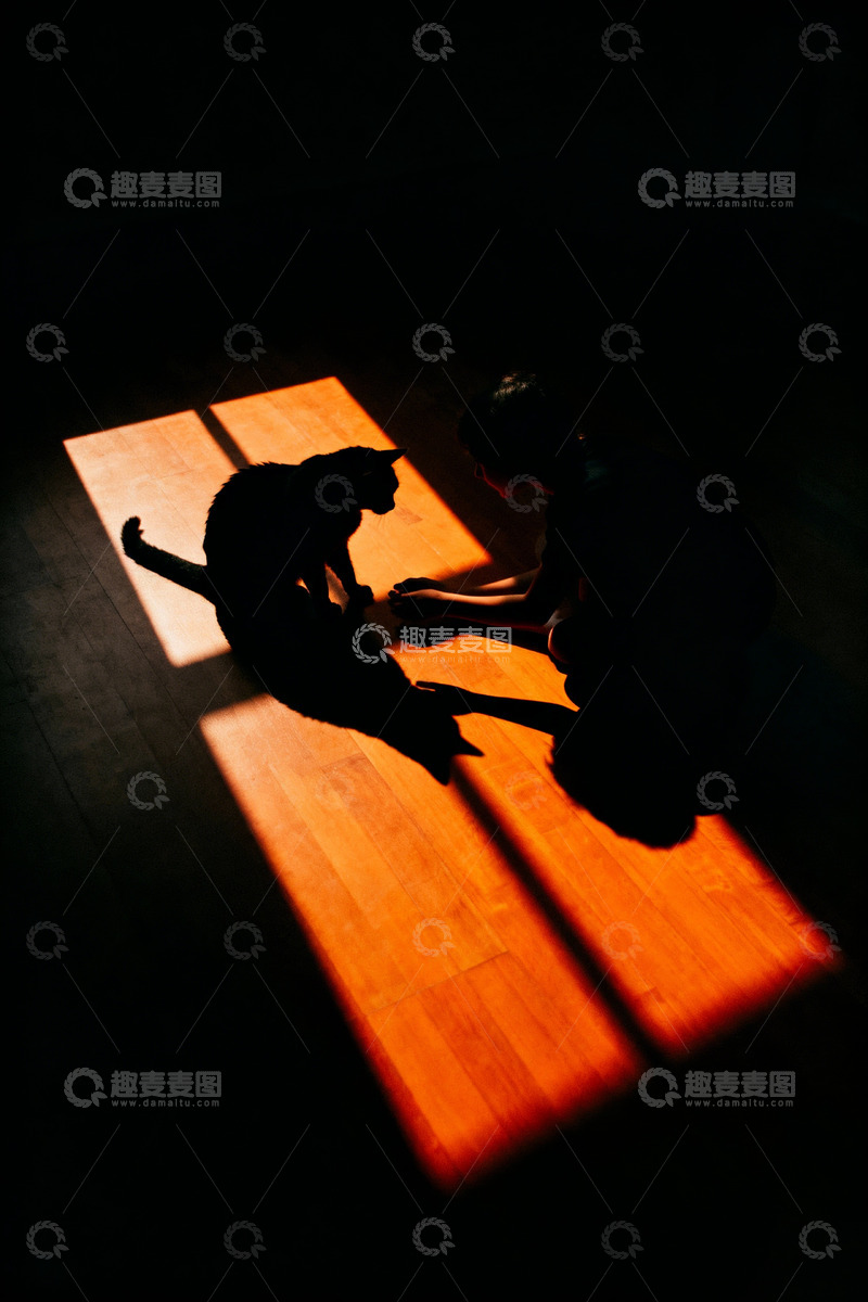 高清大图下载【趣麦麦图】人物与猫的剪影互动1