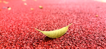 秋意红跑道黄叶