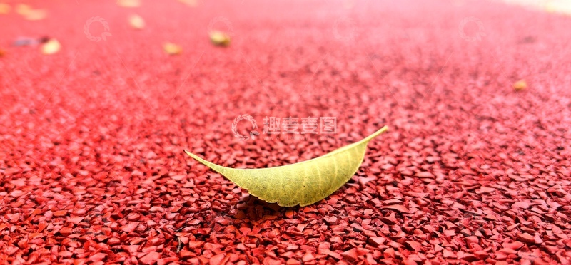 高清大图下载【趣麦麦图】秋意红跑道黄叶