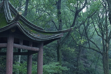 山林古亭风景摄影