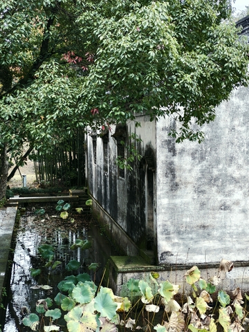 古墙水塘秋意浓