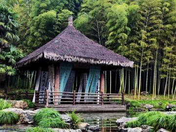 茅草亭竹林小景自然风光摄影