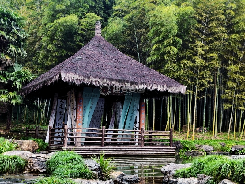 高清大图下载【趣麦麦图】茅草亭竹林小景自然风光摄影