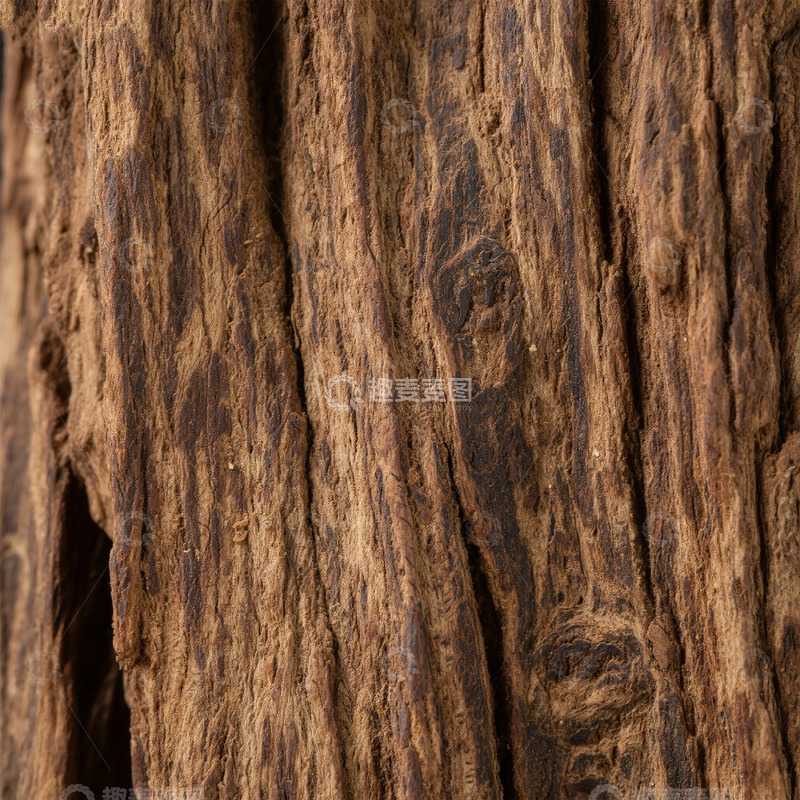 高清大图下载【趣麦麦图】古木质感纹理特写