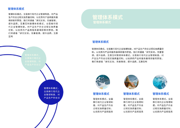 管理体系模式详解图解