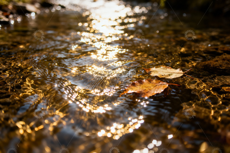 高清大图下载【趣麦麦图】近景俯拍溪流表面