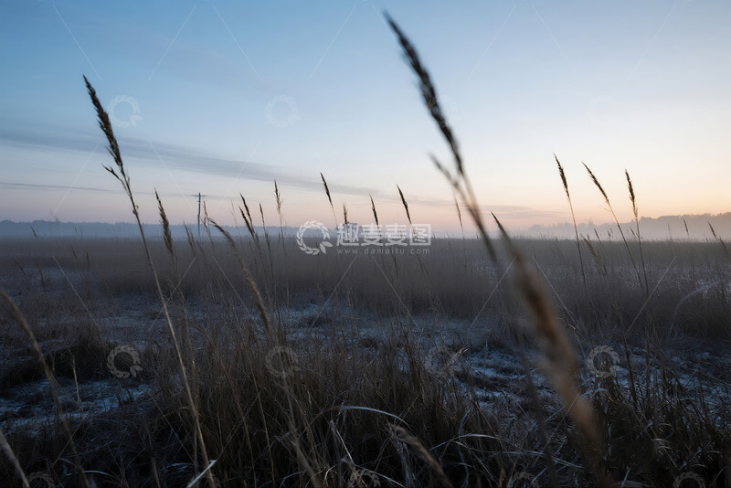 高清大图下载【趣麦麦图】黄昏旷野枯草摇曳