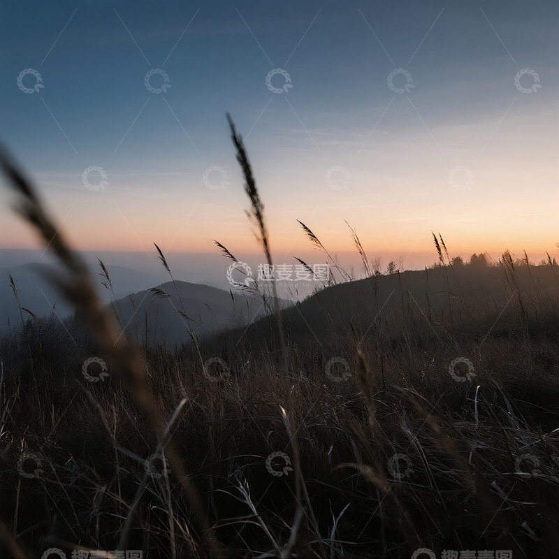 高清大图下载【趣麦麦图】黄昏旷野枯草摇曳6