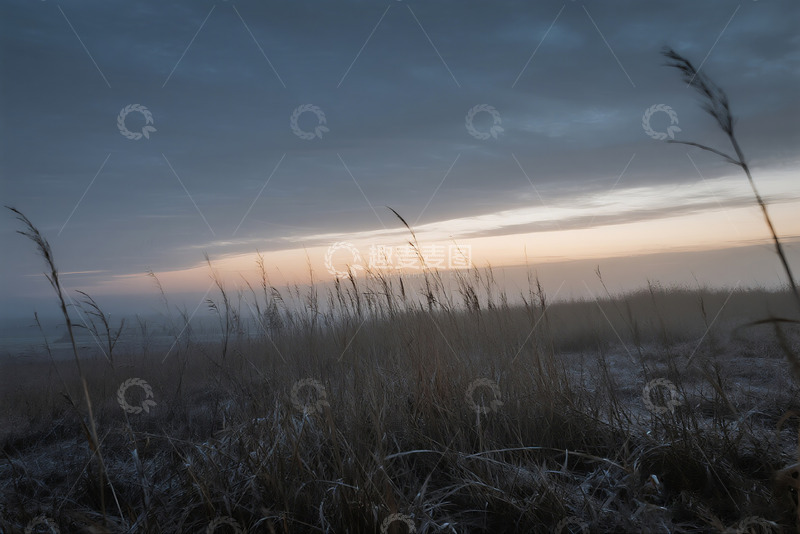 高清大图下载【趣麦麦图】黄昏旷野枯草摇曳2