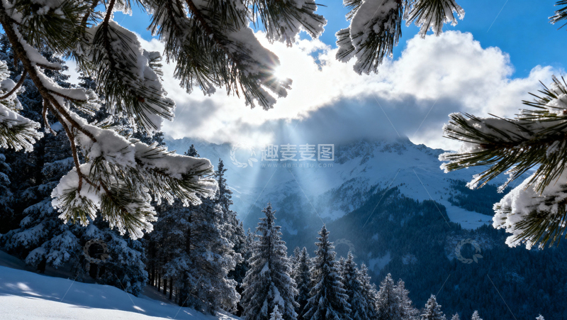 高清大图下载【趣麦麦图】 冰天雪地森林009