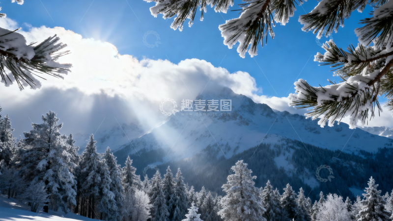 高清大图下载【趣麦麦图】 冰天雪地森林010