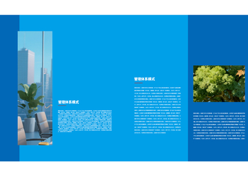 蓝色科技管理体系宣传册