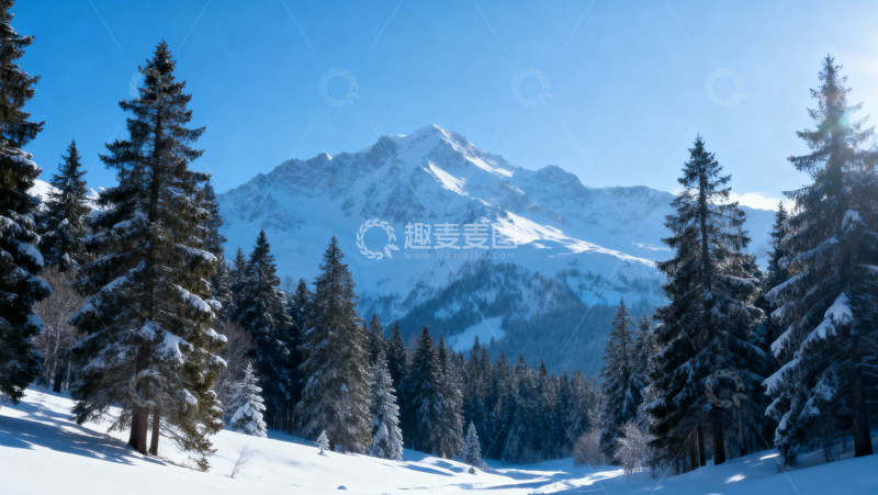 高清大图下载【趣麦麦图】 冰天雪地森林004