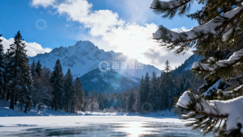 高清大图下载【趣麦麦图】 冰天雪地森林003