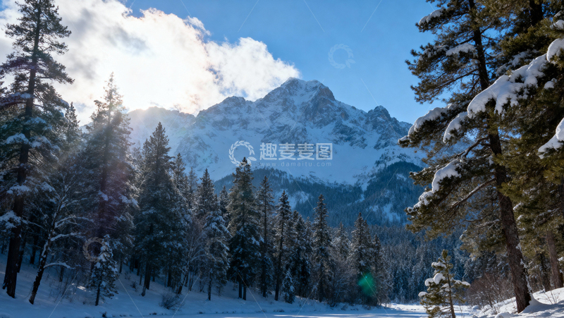 高清大图下载【趣麦麦图】 冰天雪地森林002