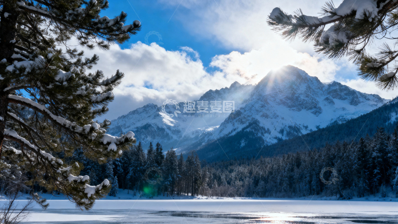 高清大图下载【趣麦麦图】 冰天雪地森林008
