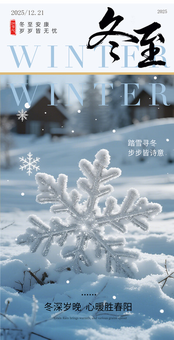 冬至雪花风光海报设计