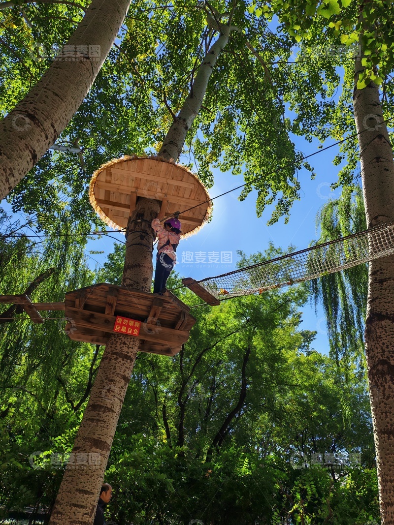 高清大图下载【趣麦麦图】-树屋探险1111