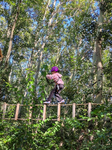 高空挑战森林探险