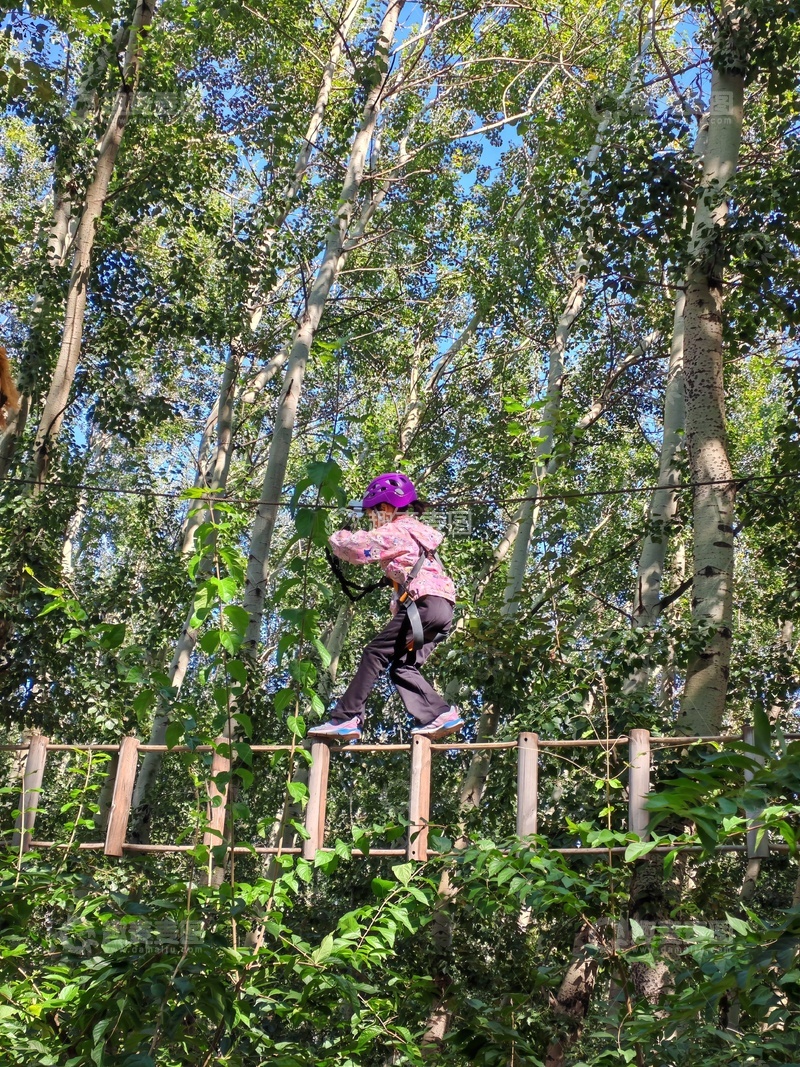 高清大图下载【趣麦麦图】-高空挑战森林探险