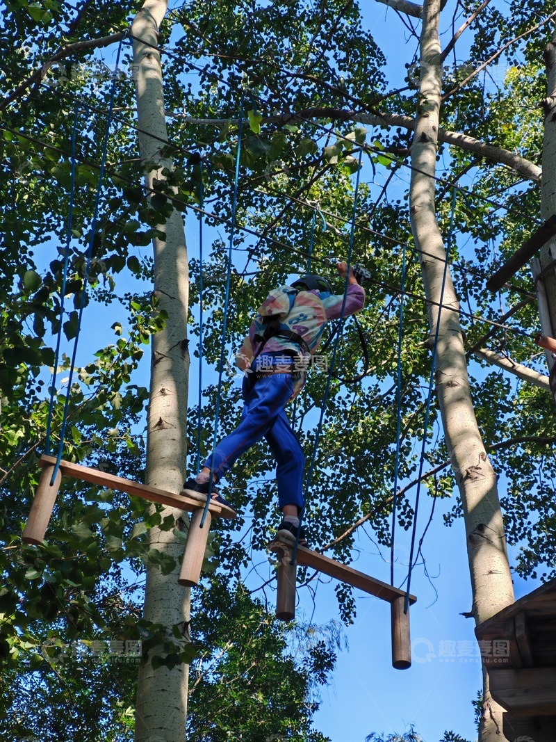 高清大图下载【趣麦麦图】高空冒险乐园挑战