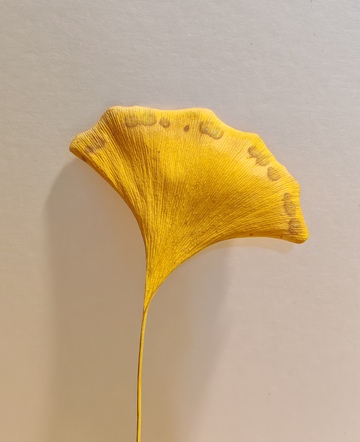 银杏叶装饰艺术