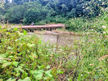 乡村桥畔自然风光